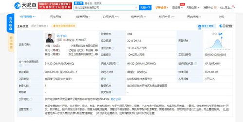 芯擎科技引領(lǐng)7nm車(chē)規(guī)級(jí)芯片創(chuàng)新，專利布局助力數(shù)據(jù)處理與存儲(chǔ)效能提升
